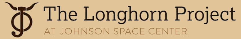 The Longhorn Project Logo